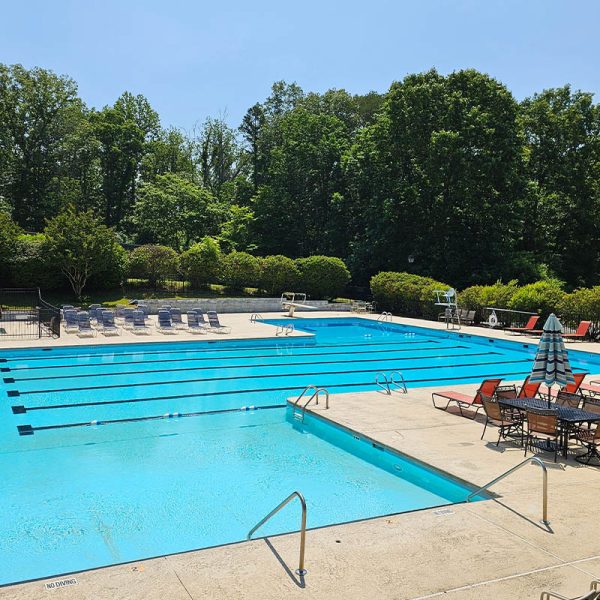 Untitled-1_0000_sapona pool abpove
